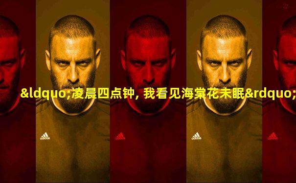 “凌晨四点钟, 我看见海棠花未眠”的下一句